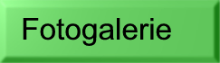Fotogalerie