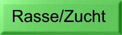 Rasse/Zucht