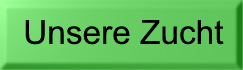 Unsere Zucht